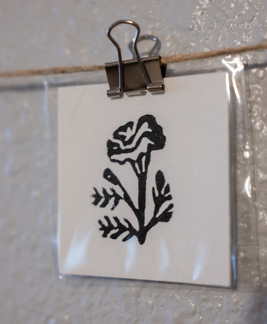 Chrysanthemum - flower